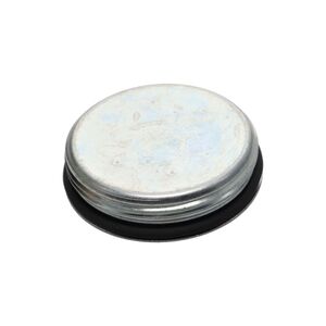PLUG AND GASKET