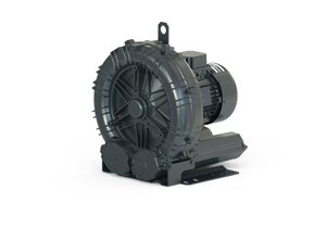 DBS 1020