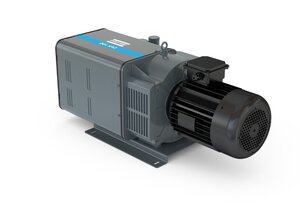DVS 100