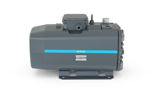 DVS 25