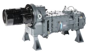 DWS 300 Industrial
